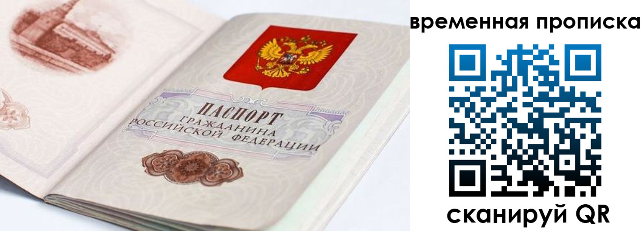 прописка 2025 в Судогде